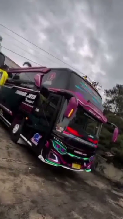 story WA bus mania mboiss full 30 detik ‼️📸🤩 #busmania #buspariwisata #bismillahfyp #fypシ゚ #basuri