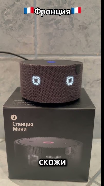Купить умную колонку Алиса во Франции🇫🇷 можно в INST: electronics ...