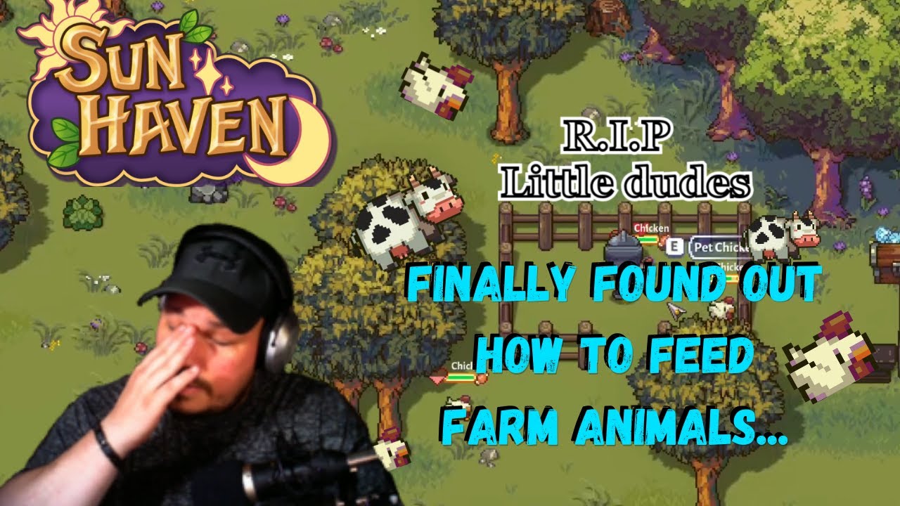 Sun Haven FINALLY Found Out How To Feed Farm Animals YouTube