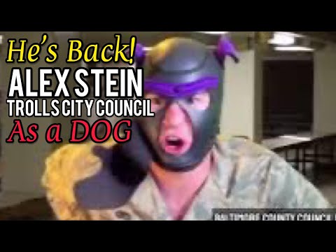 Alex Stein RETURNS to City Council Meeting as a Dog! Chrissie Mayr Reacts!