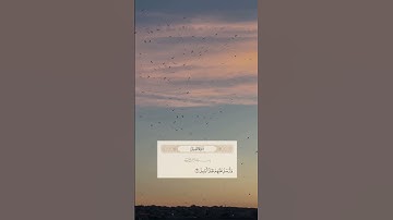 سورة الفيل. اللهم قنا عذابك يوم تبعت عبادك #قرآن #اكسبلور #المصحف #quran #تيك_توك #الرحمن #لايك