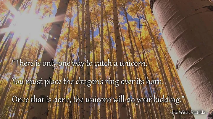 The Dragon's Ring ~Debra Daugherty~