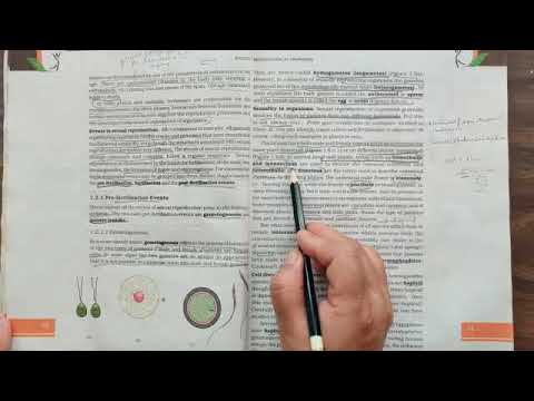 Class 12 Biology Chapter 1 Part IV - YouTube