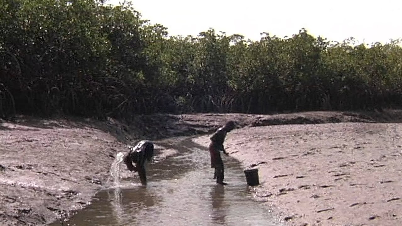 Börn í Afríku - Krabbaveiðar