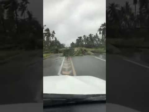 Dineo uproots trees in the province of Inhamabane