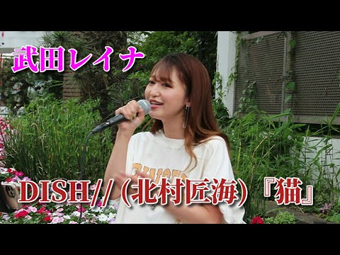 DISH// (北村匠海)『猫』 covered by 武田レイナ