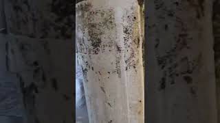 walking under pier in florida