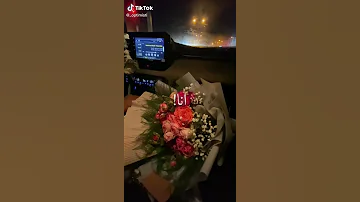 عمرى ما سيبو انا لو عد ميه سنه حالات وتساب حب اغاني عشقي احلى ورداتي 