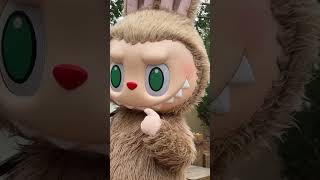 Download Lagu Labubu Dance Stacu Setiap Hari #shorts MP3 Download Lagu Labubu Dance Stacu Setiap Hari #shorts MP3