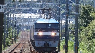 2019/08/11 JR貨物 警報機無視する軽バン 2059列車に桃901号機