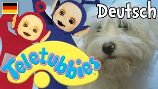 Teletubbies auf Deutsch: Mein Haustier: Hund