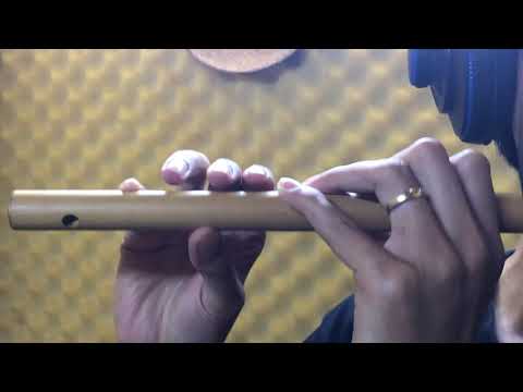 Video Thổi Sáo căn bản bài Nhật ký của mẹ - YouTube