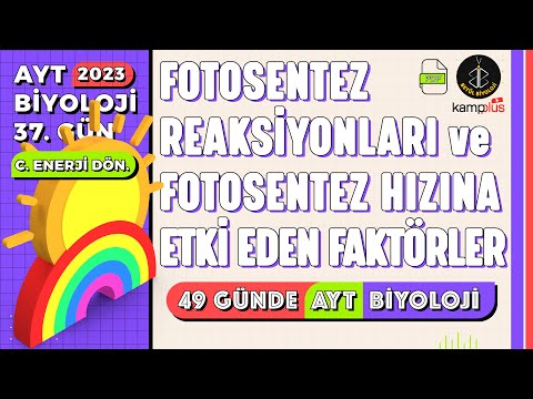 37) Fotosentez Reaksiyonları ve Fotosentez Hızına Etki Eden Faktörler | AYT Biyoloji Kampı 37. Gün