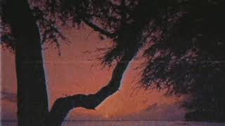 It's Been A Long, Long Time - Harry James and Helen Forrest (Legendado)