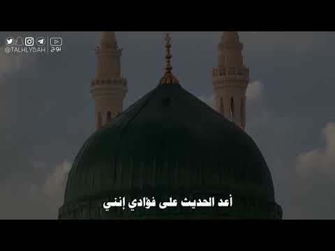 صوت الدندنة راشد الحليبة