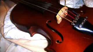 Hepatica Violin Cover