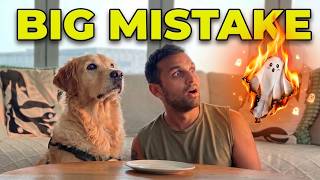 I Tried The Flying Ghost Challenge With My Golden Retriever…