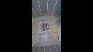 Iceco VL45 Consistently Runs 10ºF Too Hot - How to fix?
