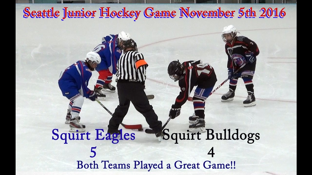 Seattle Junior Hockey, Squirt League Eagles vs Bulldogs November 5, 2016