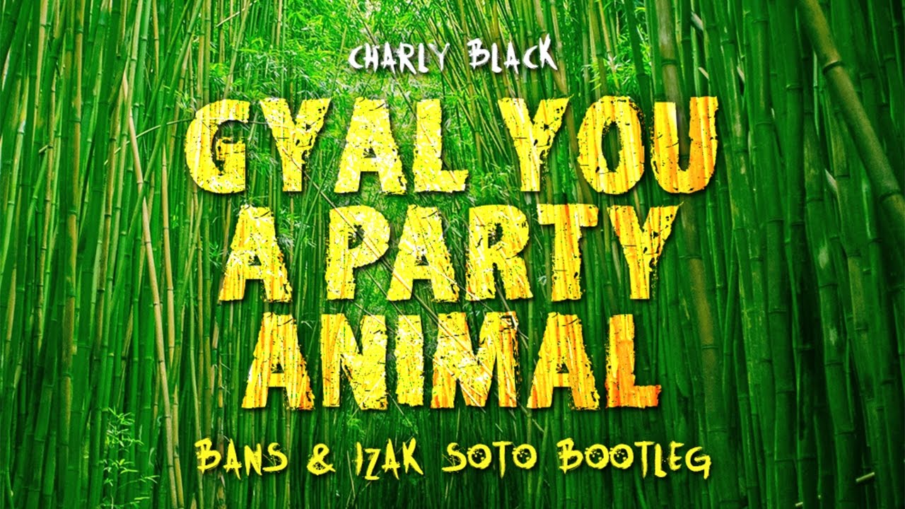 Gyal You A Party Animal