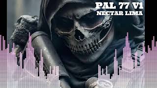 PAL 77 V1