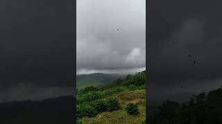 Chuvas no Sul de Minas - Muzambinho, Guaxupé - 07/01/22.