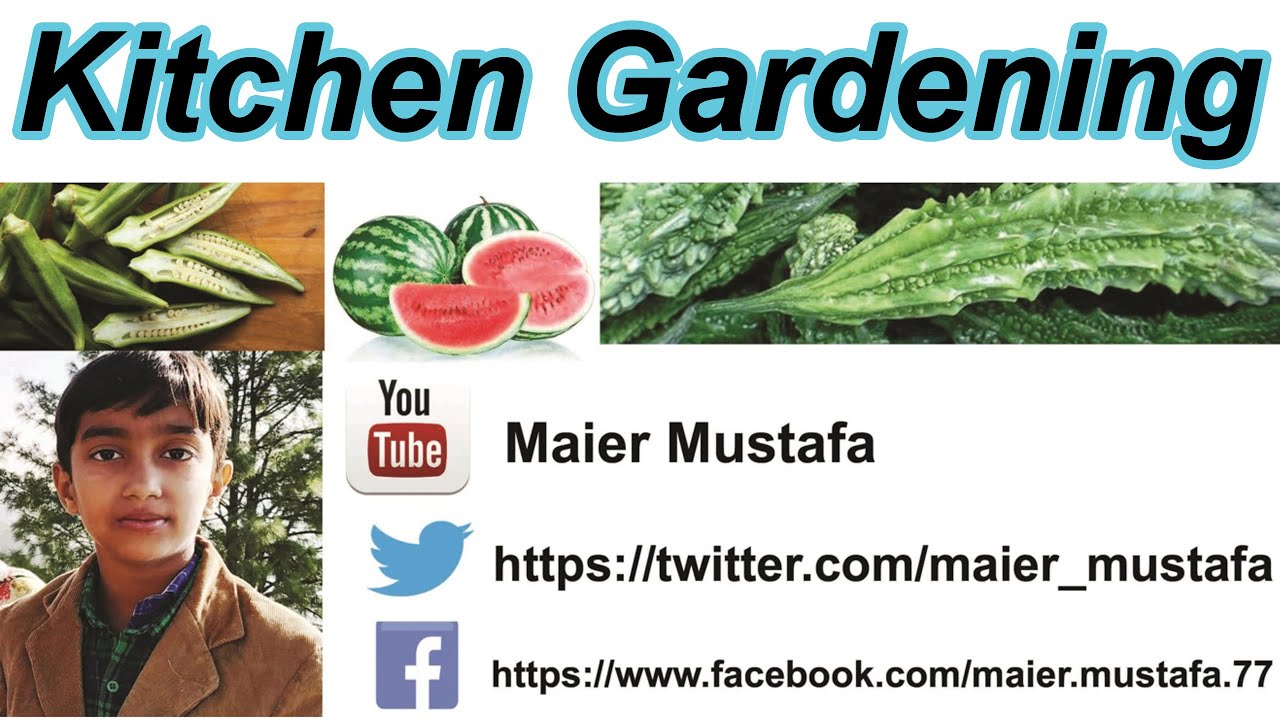 Maier Mustafa Gardening & Tours |مائر مصطفی|