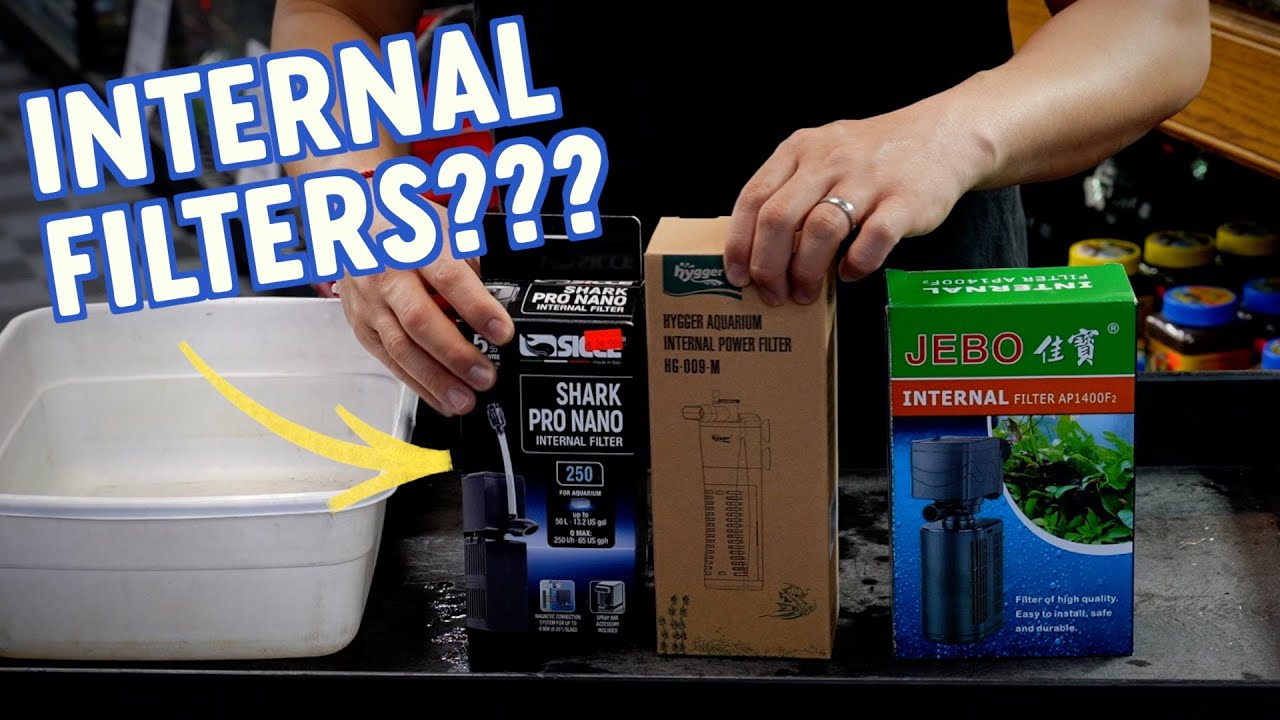 HOW TO SET UP AN INTERNAL FILTER FOR YOUR AQUARIUM | UNBOXING | JEBO | SICCE | HYGGER