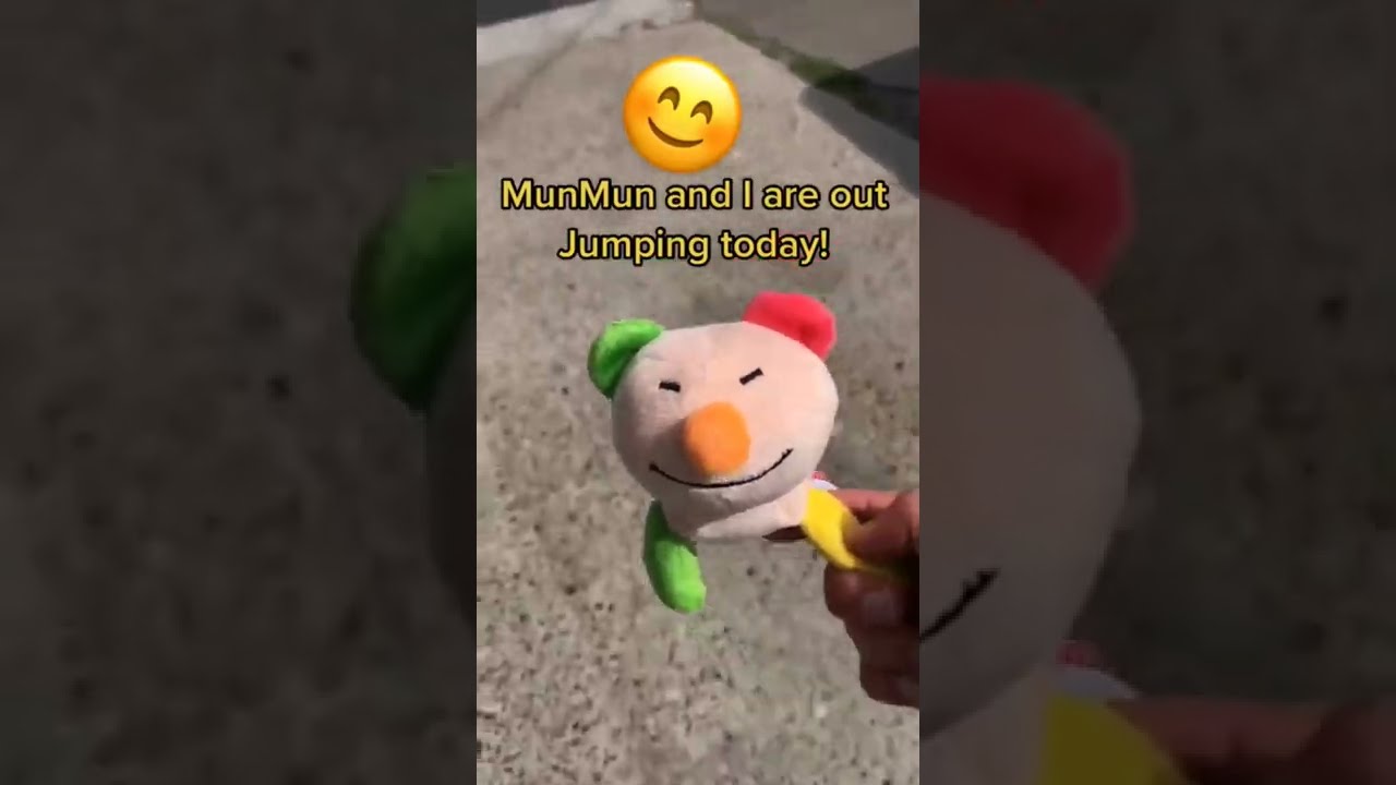 MunMun must remain focused at all costs! #peepy #itemlabel #plushies # ...