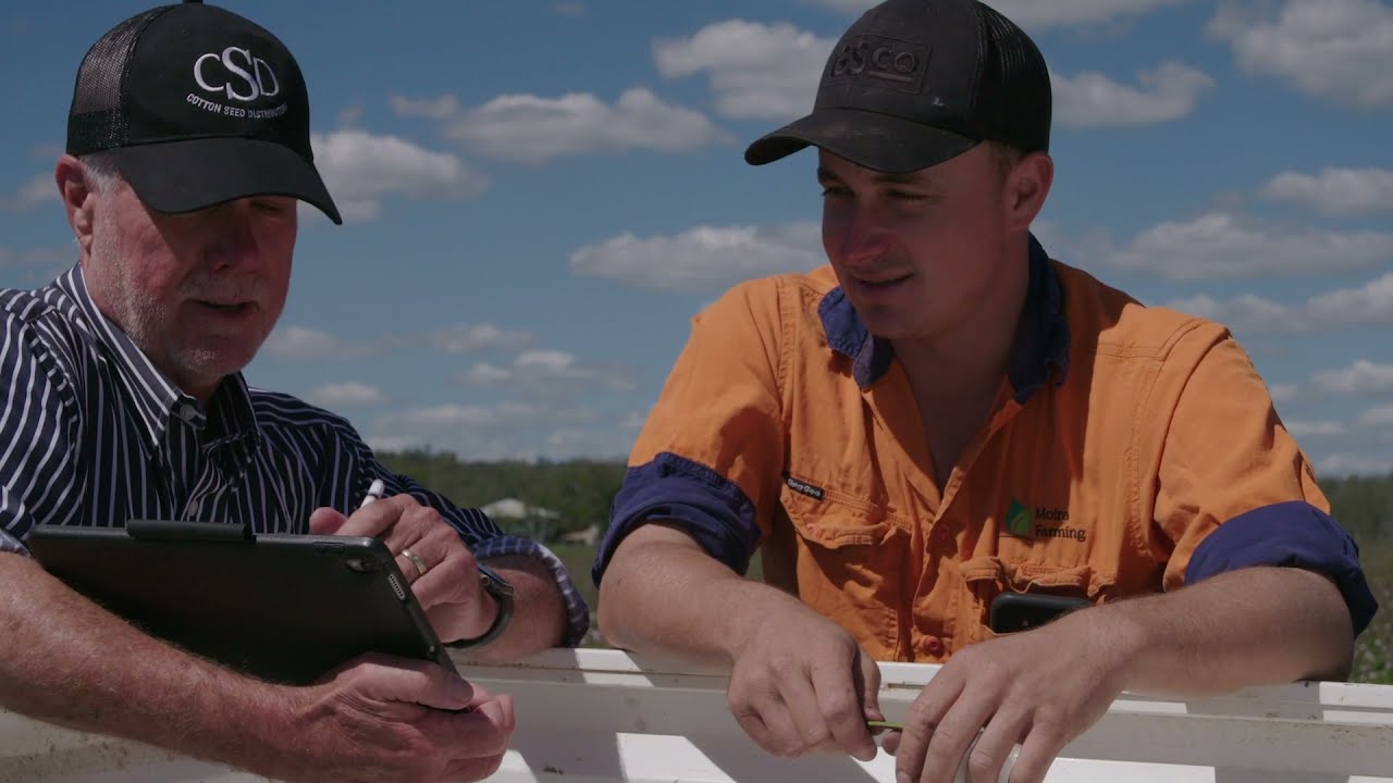 Cotton Farming in QLD - 