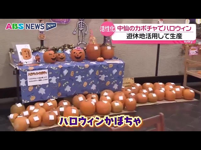 Halloween Pumpkins Galore! Roadside Station Features Pumpkins of