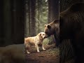 dog vs bear #DreamScreenAI