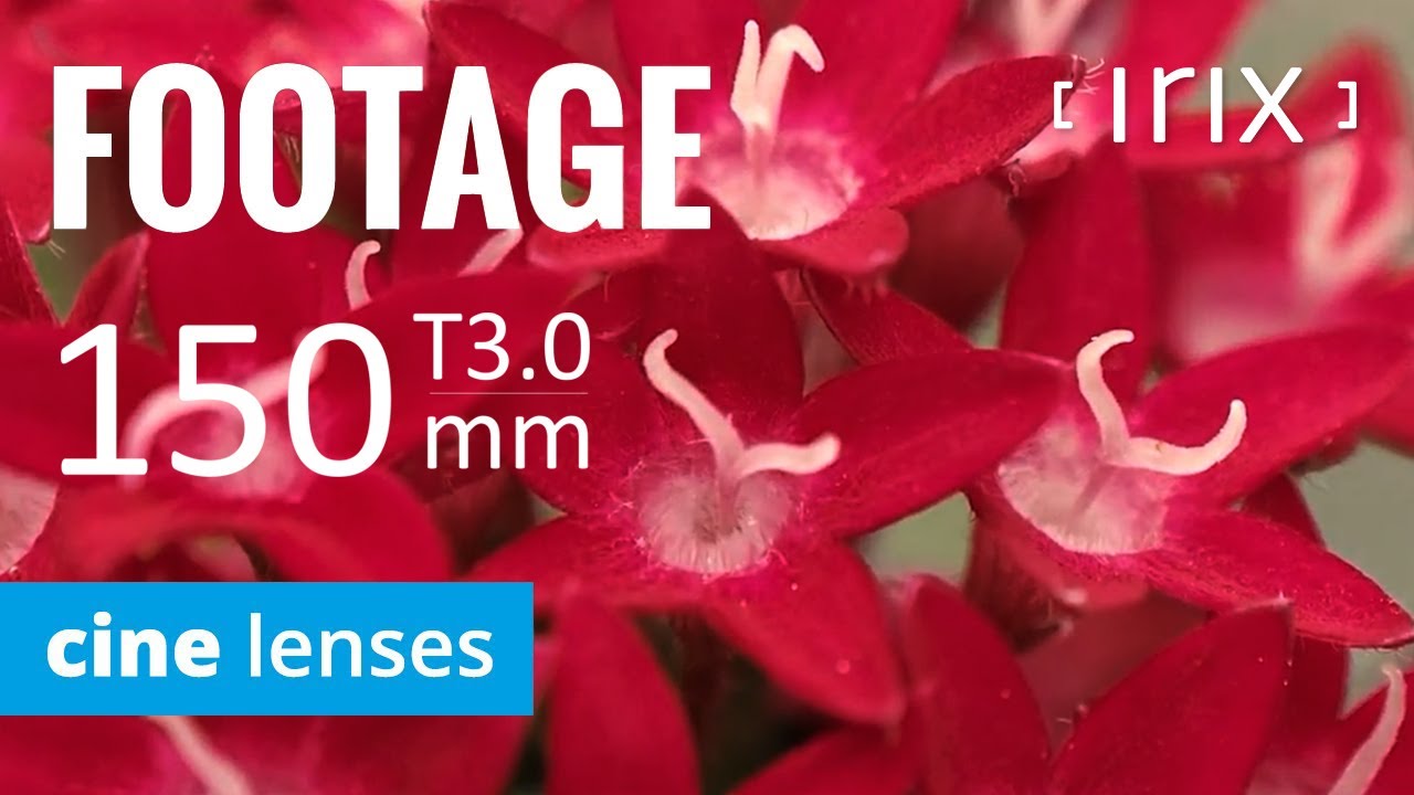 Irix Cine Lens 150mm T3.0 Macro 1:1 | Sample Footage on BMPCC 6K