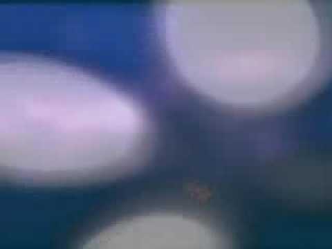 Shikisha — PATA PATA (REMIX VIDEOS) by S.Lee