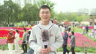 12551H7120 AS5 Ku 20260404 080841 CA2712033CAC270F