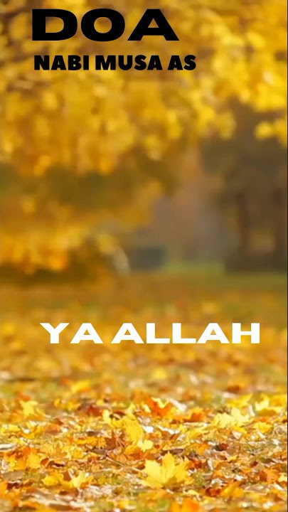 DOA NABI MUSA AS DI SAAT SEDANG KE SUSAHAN #sholawat #vidoeshorts
