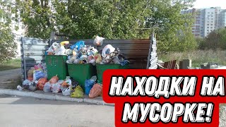 Что можно найти на мусорках Санкт-Петербурга? Находки на мусорке!