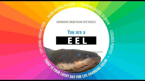 Mild Deutan Streamer - Tomato Prey 2017 (Randomizer) stream highlights