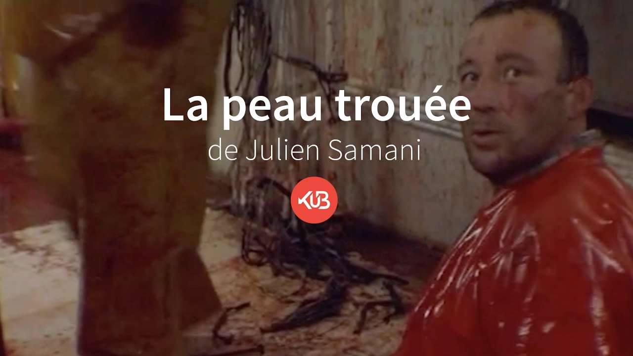 LA PEAU TROUÉE Bande Annonce - KuB (PÊCHE, REQUINS)