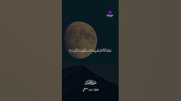 تلاوة تهز القلوب وتملأ الروح نورًا بصوت الشيخ عبدالله مصطفى 🌾