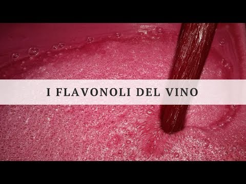 I flavonoli del vino: caratteristiche, evoluzione, interazioni