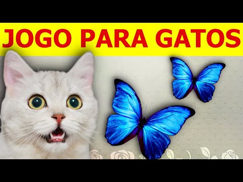 JOGO PARA GATOS: peixes na tela 