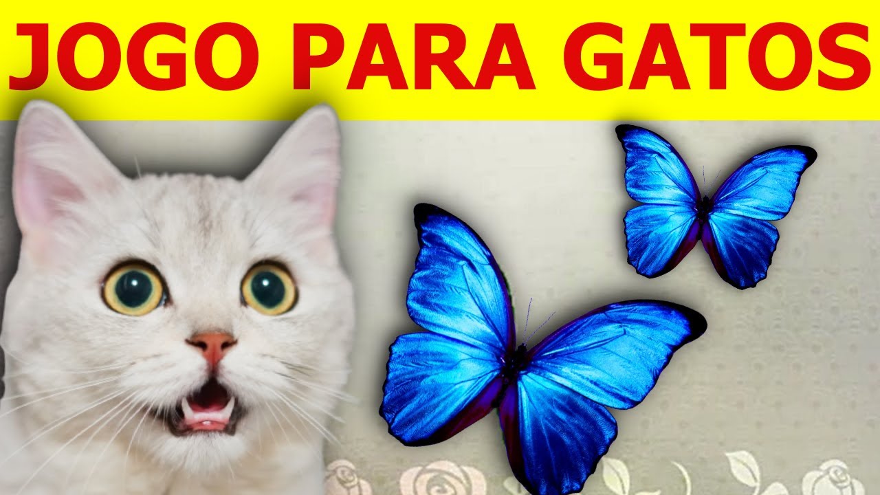 JOGOS DE GATOS 🐱 - Jogue Grátis Online!