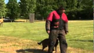 Mondio Ring Training And Handler Defense