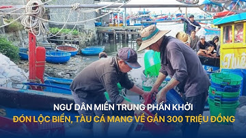 Ngư dân miền Trung phấn khởi đón lộc biển, tàu cá mang về gần 300 triệu đồng | VTV Index