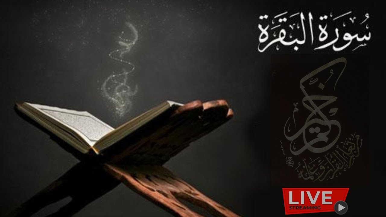 سورة البقرة للشيخ صاحب الصوت المميز توفيق الخزاعي لطرد الشياطين وجلب البركة بإذن الله Surat Albaqara