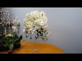 How to Make a Tall Arrangement in Martini Vase.