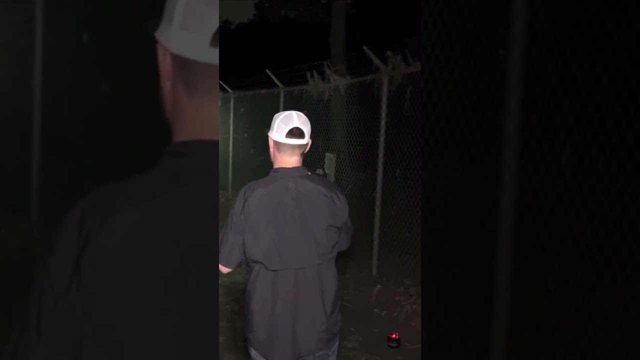 I’m trying to take your picture! 