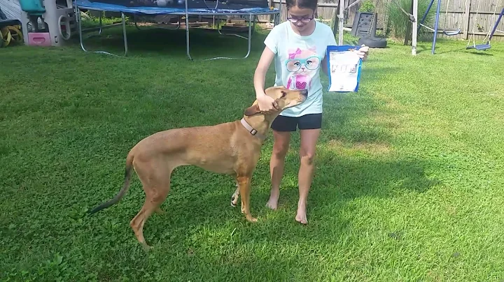 Kiley taught lisa tricks.