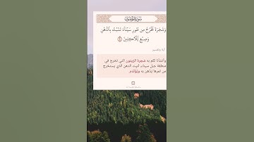 سورة المؤمنون أية (٢٠)